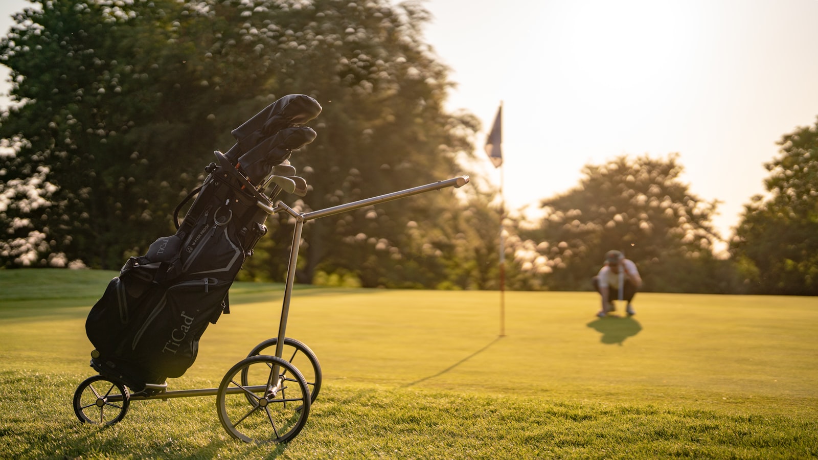 Golf bag full of clubs on a cart in the grass